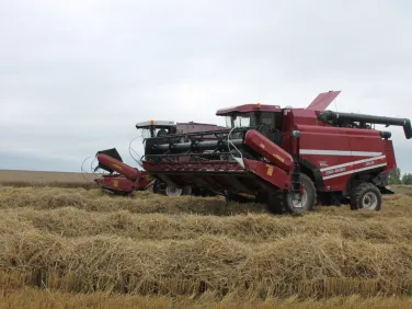 Уборка озимых зерновых культур в Шарангском муниципальном округе