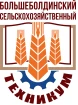 Государственное бюджетное профессиональное образовательное учреждение «Большеболдинский сельскохозяйственный техникум», ГБПОУ ББСХТ
