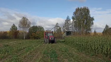 В Уренском муниципальном округе ведутся работы по уборке кукурузы на силос.