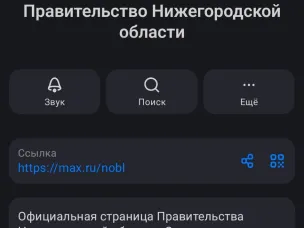 Правительство Нижегородской области теперь есть в MAX!
