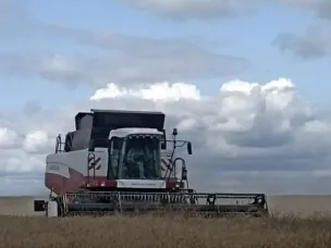 Сельскохозяйственные предприятия Уренского муниципального округа активно ведут уборочные работы.