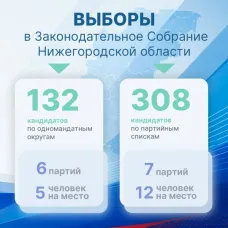 Выборы в Государственную Думу РФ и в Законодательное Собрание Нижегородской области