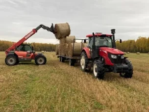 В Сокольском районе аграрии завершили уборку зерновых и сев озимых культур