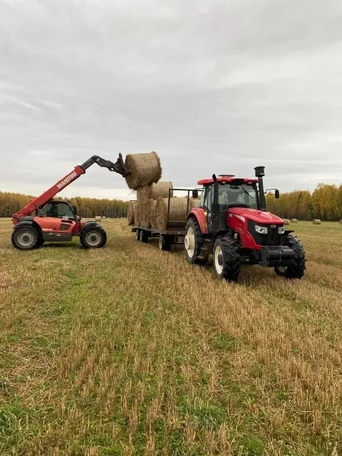 В Сокольском районе аграрии завершили уборку зерновых и сев озимых культур