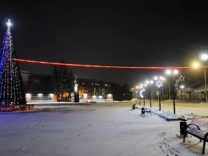 Администрации муниципальных образований Большемурашкинский и Княгининский установили  новогодние елки